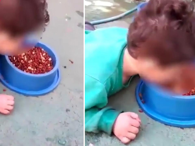 فيديو صادم: أم تجبر طفلها المريض على تناول طعام الكلاب!